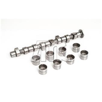 Jeu d'arbres à came AMC OEM 6010500801