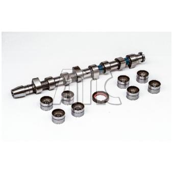 Jeu d'arbres à came AMC 647060K Jeu d'arbres à came AMC 647060K