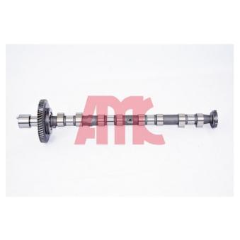 Arbre à came AMC 647267