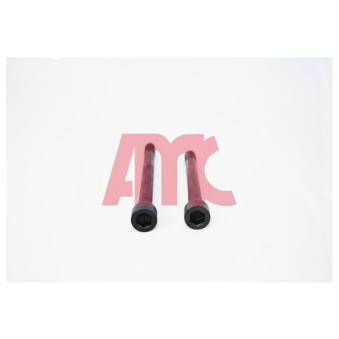 Jeu de boulons de culasse de cylindre AMC 258116