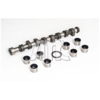 Jeu d'arbres à came AMC 663821K