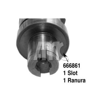 Arbre à came AMC 666861