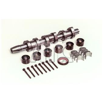 Jeu d'arbres à came AMC 666867K