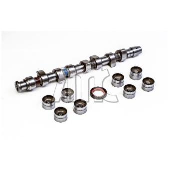 Jeu d'arbres à came AMC OEM 038109101E