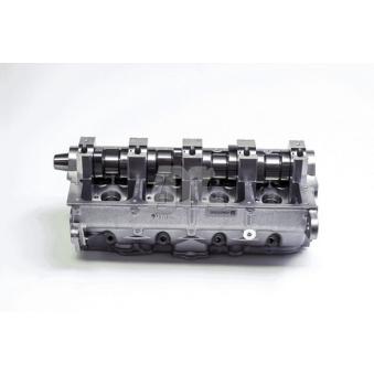 Culasse de cylindre AMC 908906 pour SKODA FABIA 1.9 TDI - 105cv