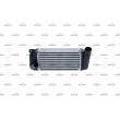 Intercooler, échangeur NRF [30347]