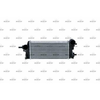 Intercooler, échangeur NRF 30926 pour FORD C-MAX 1,0 EcoBoost - 100cv