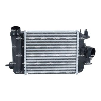 Intercooler, échangeur NRF 309125 pour RENAULT CAPTUR LPG - 101cv
