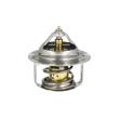 Thermostat, liquide de refroidissement NRF [725057]