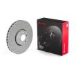 Jeu de 2 disques de frein avant BREMBO [09.F290.13]