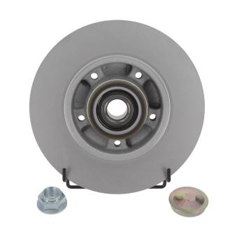 Jeu de 2 disques de frein arrière FERODO OEM 432027412R