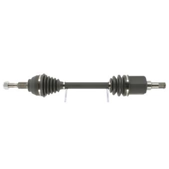 Arbre de transmission CEVAM OEM 1865554 Arbre de transmission CEVAM OEM 1865554