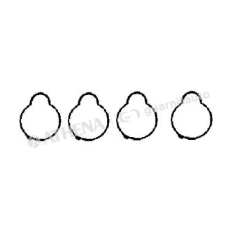 Joint, collecteur d'admission GUARNITAUTO [183685-8300]