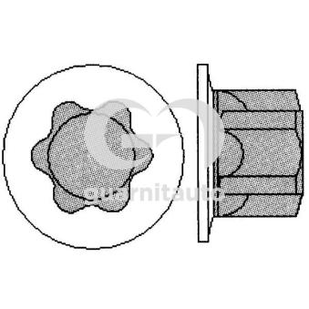 Jeu de boulons de culasse de cylindre GUARNITAUTO [703601-1010]