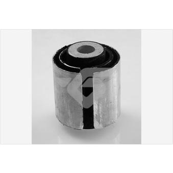 Suspension, corps de l'essieu HUTCHINSON 590302
