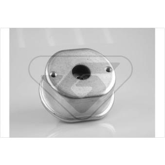 Support, suspension du moteur HUTCHINSON OEM 701199201G