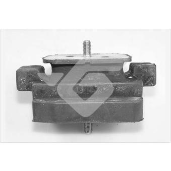 Suspension, boîte de vitesse manuelle HUTCHINSON 594519