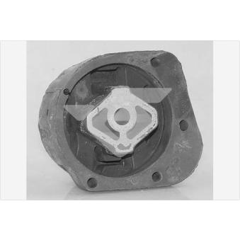 Suspension, boîte de vitesse manuelle HUTCHINSON OEM 22313421301