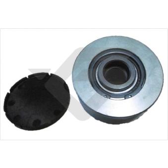 Poulie roue libre, alternateur HUTCHINSON OEM A6041500560
