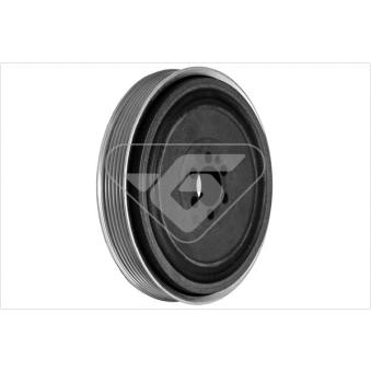 Poulie, vilebrequin HUTCHINSON OEM 71747796 Poulie, vilebrequin HUTCHINSON OEM 71747796