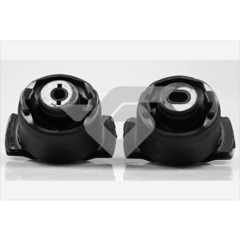 Kit de réparation, corps de l'essieu HUTCHINSON OEM 8200427868