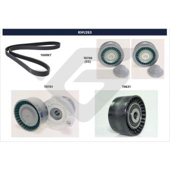 Jeu de courroies trapézoïdales à nervures HUTCHINSON OEM 117204083R