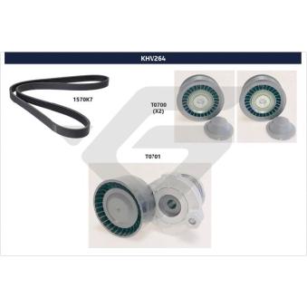 Jeu de courroies trapézoïdales à nervures HUTCHINSON OEM 117203078R