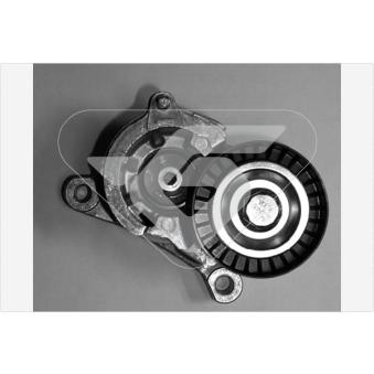 Poulie-tendeur, courroie trapézoïdale à nervures HUTCHINSON OEM 96362074