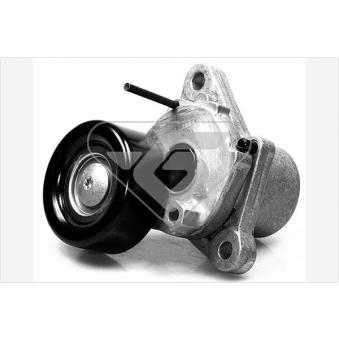 Poulie-tendeur, courroie trapézoïdale à nervures HUTCHINSON T0059