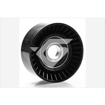Poulie renvoi/transmission, courroie trapézoïdale à nervures HUTCHINSON OEM 166030R010