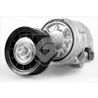 Poulie-tendeur, courroie trapézoïdale à nervures HUTCHINSON T0358