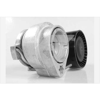 Poulie-tendeur, courroie trapézoïdale à nervures HUTCHINSON T0549