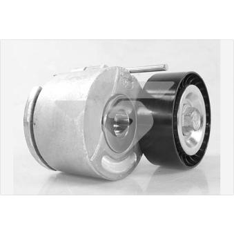 Poulie-tendeur, courroie trapézoïdale à nervures HUTCHINSON [T0572]