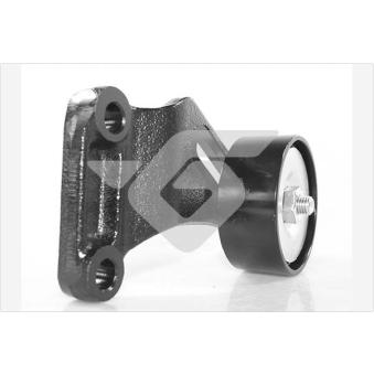 Poulie-tendeur, courroie trapézoïdale à nervures HUTCHINSON [T0590]