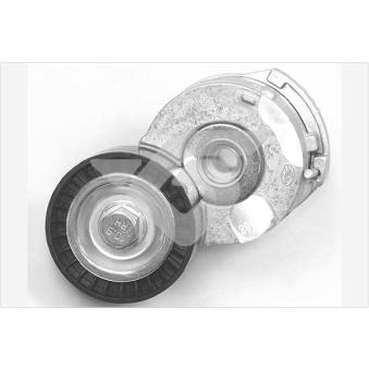 Poulie-tendeur, courroie trapézoïdale à nervures HUTCHINSON T0624