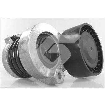 Poulie-tendeur, courroie trapézoïdale à nervures HUTCHINSON OEM 1195500Q0K