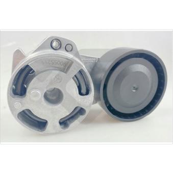 Poulie-tendeur, courroie trapézoïdale à nervures HUTCHINSON OEM 117504048R