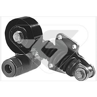 Poulie-tendeur, courroie trapézoïdale à nervures HUTCHINSON [T6008]