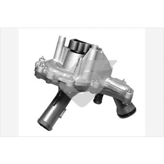Pompe à eau HUTCHINSON OEM 6C1Q8K500AF