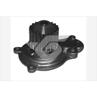 Pompe à eau HUTCHINSON WP168