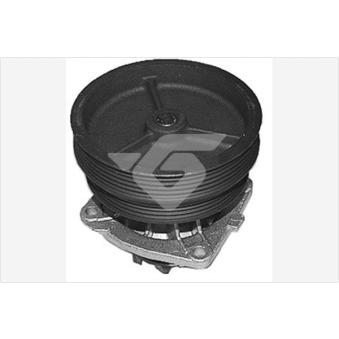 Pompe à eau HUTCHINSON OEM 46444355