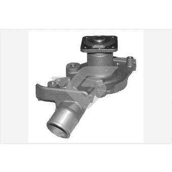 Pompe à eau HUTCHINSON OEM 6878045