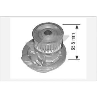 Pompe à eau HUTCHINSON OEM 24409355 Pompe à eau HUTCHINSON OEM 24409355