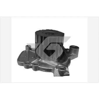 Pompe à eau HUTCHINSON OEM 19200PDFE01