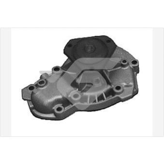 Pompe à eau HUTCHINSON WP224