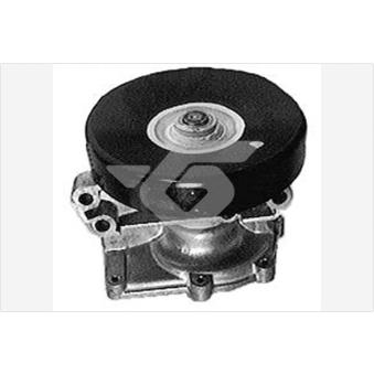 Pompe à eau HUTCHINSON OEM 8822744