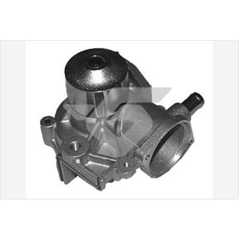 Pompe à eau HUTCHINSON OEM 21111AA006