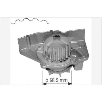 Pompe à eau HUTCHINSON OEM 120193