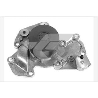 Pompe à eau HUTCHINSON OEM 2510037201