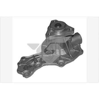 Pompe à eau HUTCHINSON OEM 068121005B